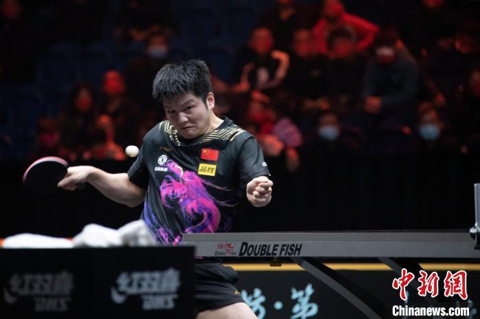 樊振东呼吁球迷远离饭圈戾气 重申专注竞技体育